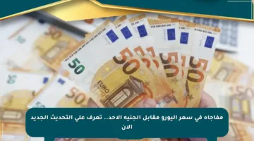 مفاجأة في سعر اليورو مقابل الجنيه الأحد.. تعرف على التحديث الجديد الآن